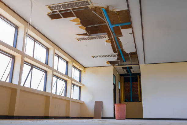 Best Emergency water damage restoration  in Memphis, MI