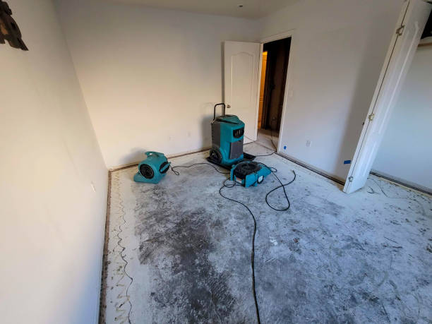 Best Water damage restoration near me  in Memphis, MI
