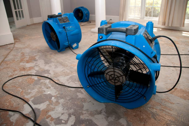 Best Flooded house restoration  in Memphis, MI