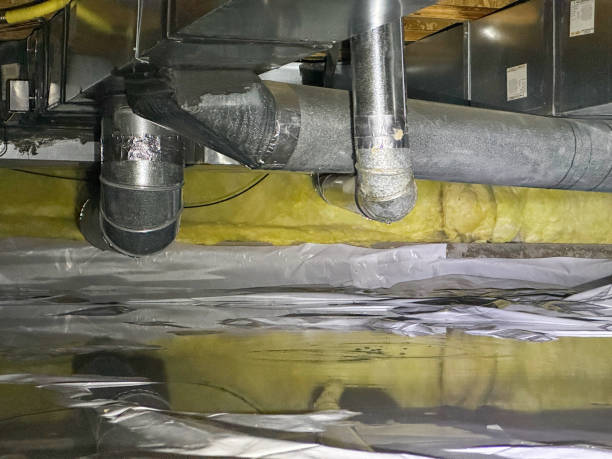 Best Water damage contractors near me  in Memphis, MI