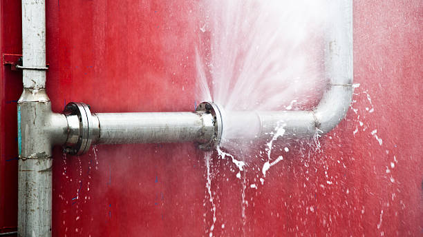 Best Water damage cleanup near me  in Memphis, MI